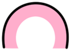 231828504