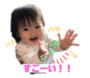231900961