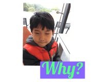 231903780