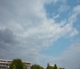 231970828