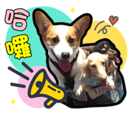 231986696