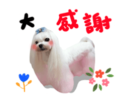 23206175