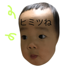 23207597