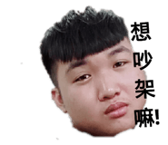 232095216