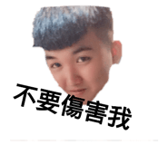 232095217
