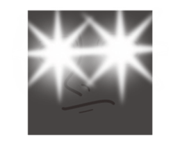 23217819