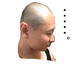 232206319