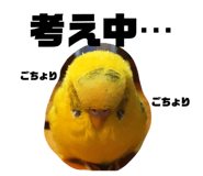 232206920
