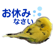 232206923