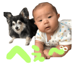 232209013