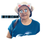 232273062