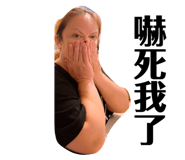 232273066