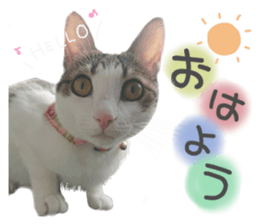 232323358