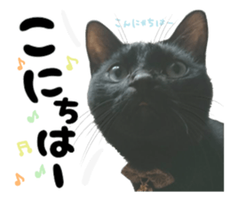 232323359
