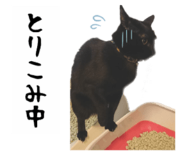 232323383