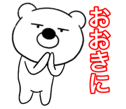 23235481