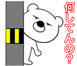 23235510