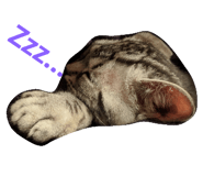 232361165