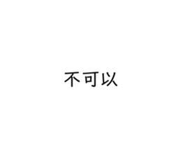 232369540