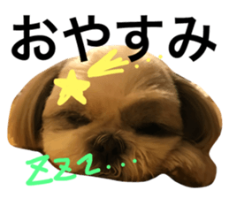 23253692