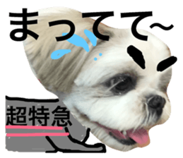 23253695