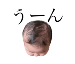 232556461