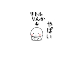 232562590