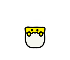 23261922