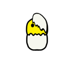 23261928