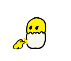 23261931