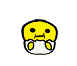23261942