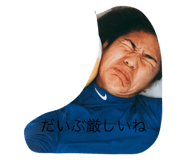 232659755