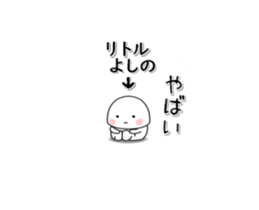 232686446