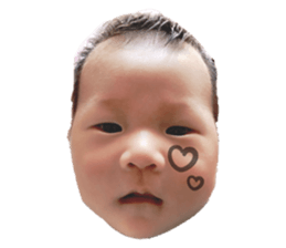 232721691