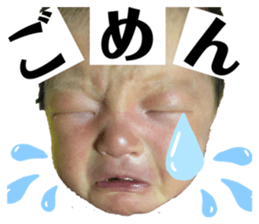 232767066