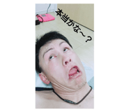 232811908
