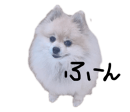 232814839