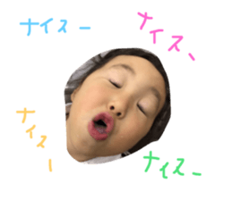 23294079
