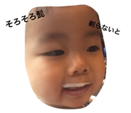 23297513