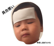 23297520