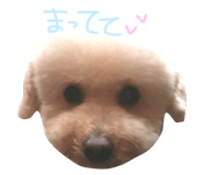 23300551