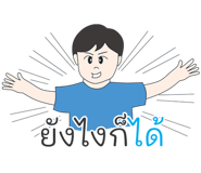 233034906