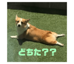 233052029