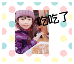 233063311