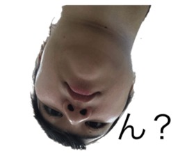 233063666