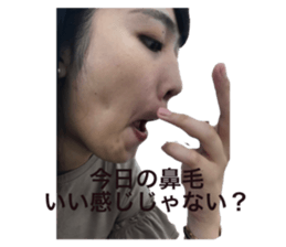 233063667