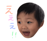 23307500