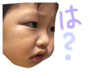 23307502