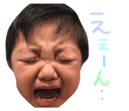 23307503