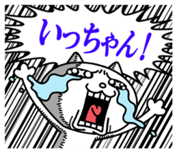 23309253